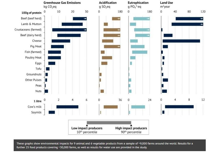 COP26 blog Nov 2021 #27