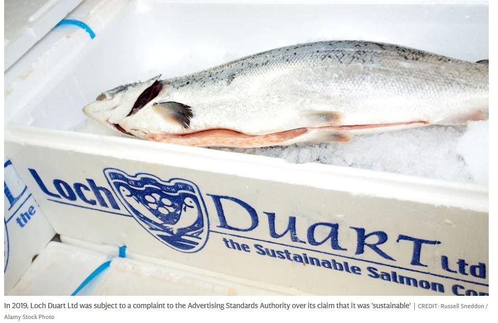 Telegraph 2 Nov 2021 #2