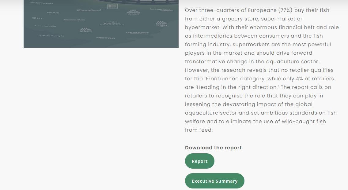 Changing Markets Floundering Nov 2021 #2