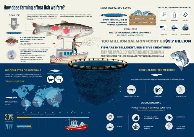 Changing Markets Floundering Nov 2021 Executive Summary #2 welfare