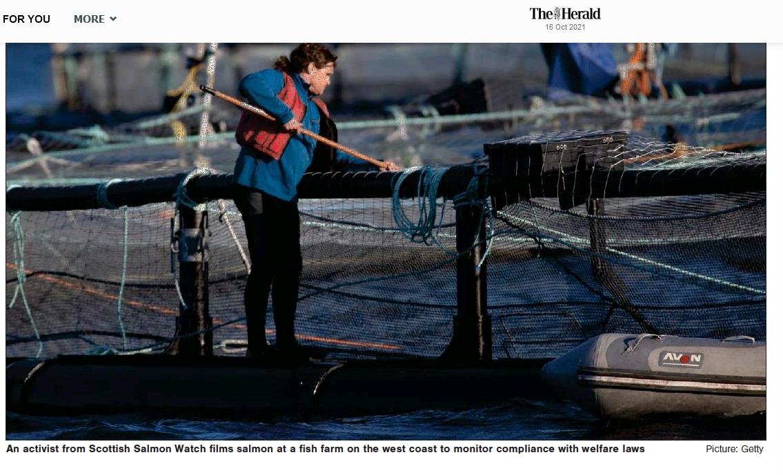 Herald 16 October 2021 newspaper version with photo of Don with Go Pro