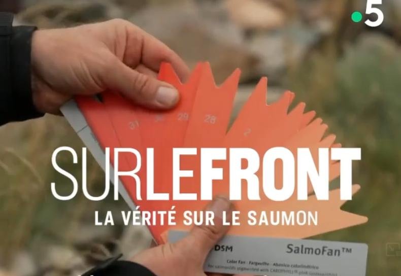 Sur Le Front #2 SalmoFan