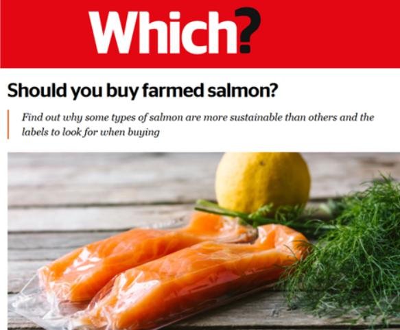 Which 6 Oct 2021 #1 Which 6 Oct 2021 #1