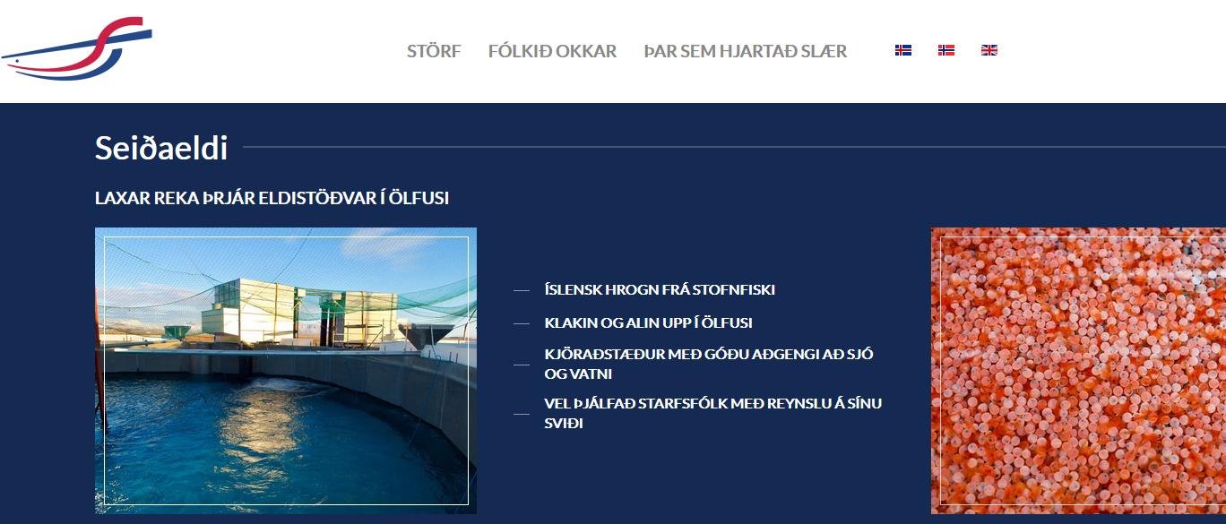 Laxar sources from Stofnfiskur Laxar sources from Stofnfiskur