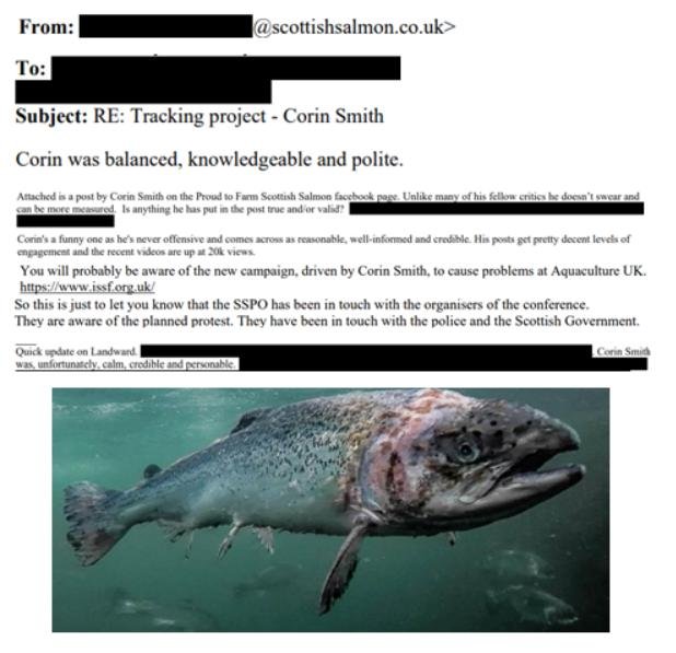 SSPO Tweet SSPO Tweet