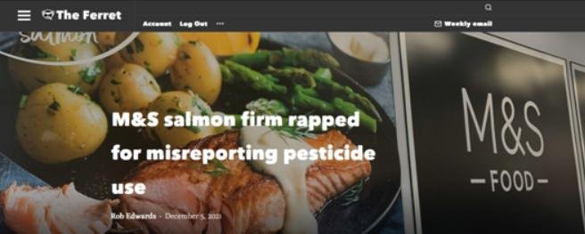 Ferret 5 Dec 2021 Ferret 5 Dec 2021