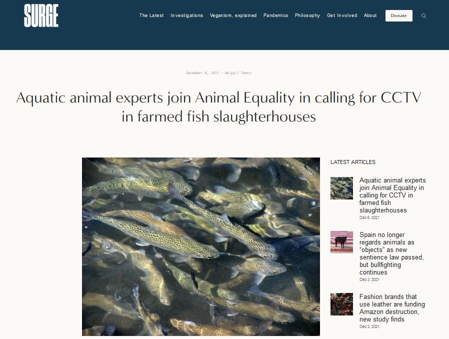 Slaughter rules 6 Dec 2021 blog #17 Slaughter rules 6 Dec 2021 blog #17