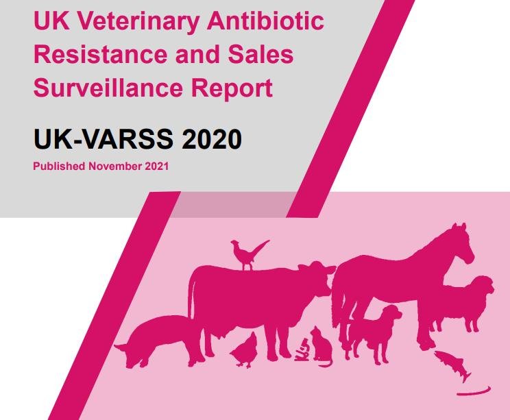 VARSS 2020 #1 VARSS 2020 #1