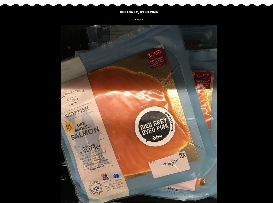 Ocean Rebellion 11 Dec 2021 #1 Ocean Rebellion 11 Dec 2021 #1