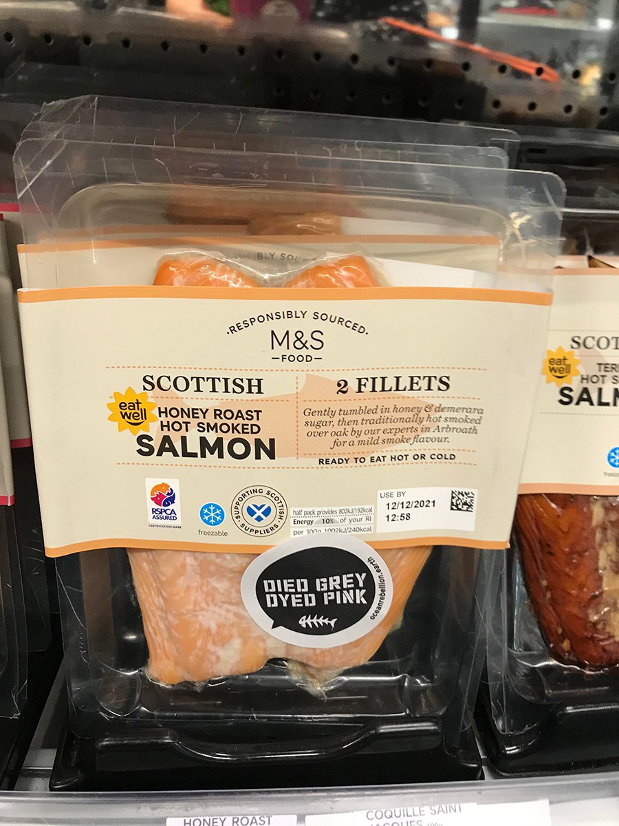 Ocean Rebellion 11 Dec 2021 #5 Ocean Rebellion 11 Dec 2021 #5