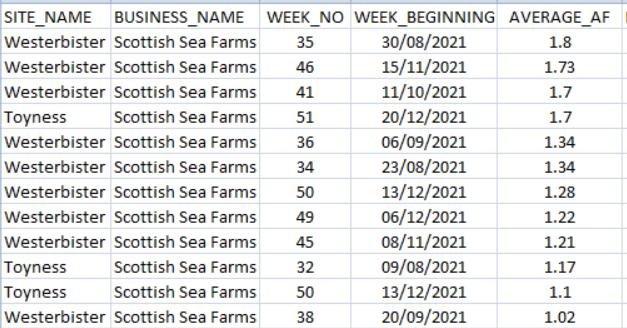 Toyness & Westerbister lice Toyness & Westerbister lice