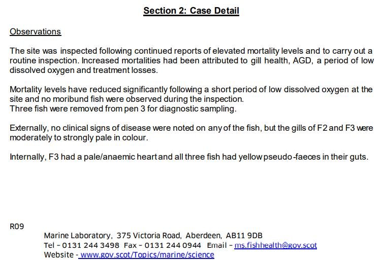 Toyness FHI Oct 2021 #7 Toyness FHI Oct 2021 #7