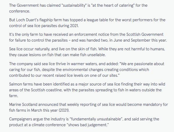 Loch Duart Mirror #2