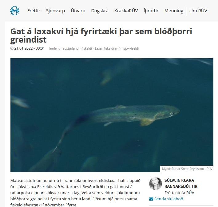 Iceland RUV #1 Iceland RUV #1