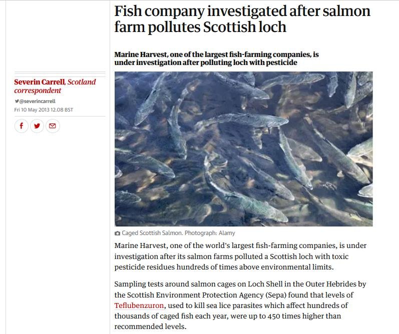 Guardian 10 May 2013 #5