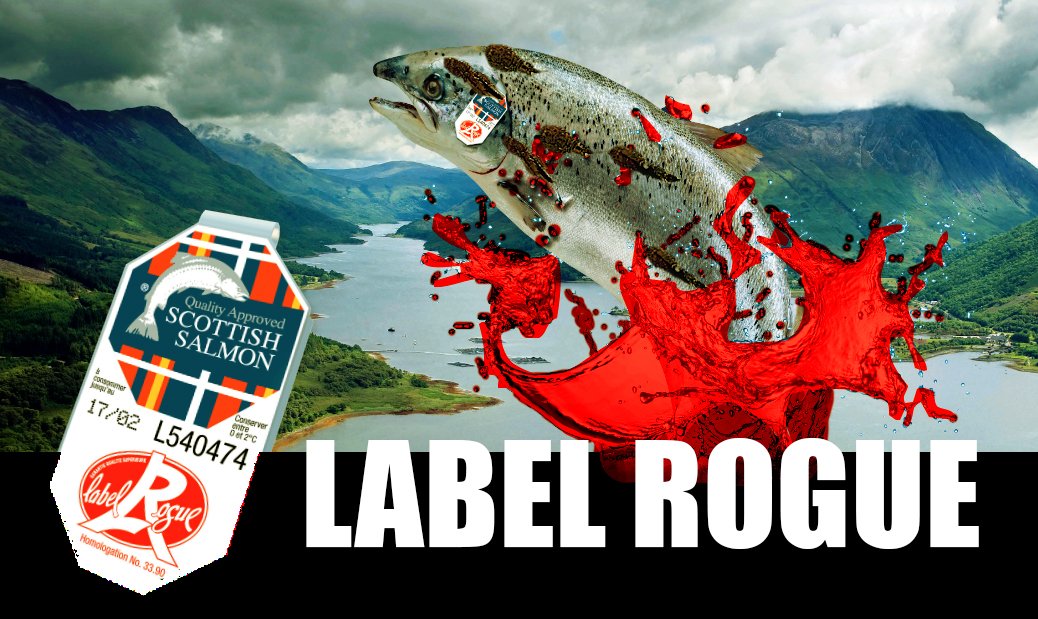 #5 Label Rogue landscape #5 Label Rogue landscape