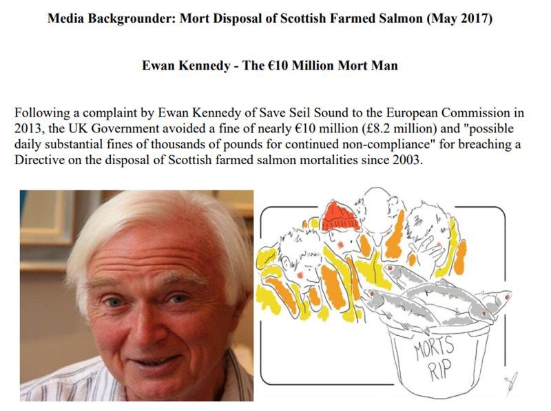 Whiteshore blog Jan 2022 #3