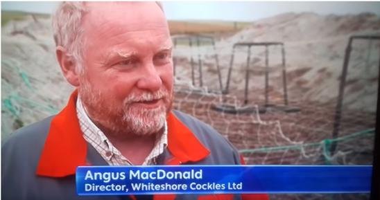 Whiteshore blog Jan 2022 #4