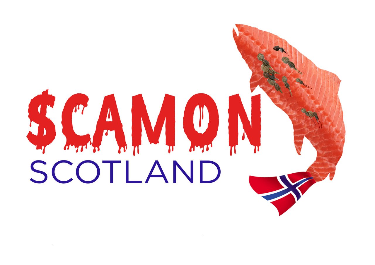 Scamon Scotland spoof logos #5 Andrew Scamon Scotland spoof logos #5 Andrew
