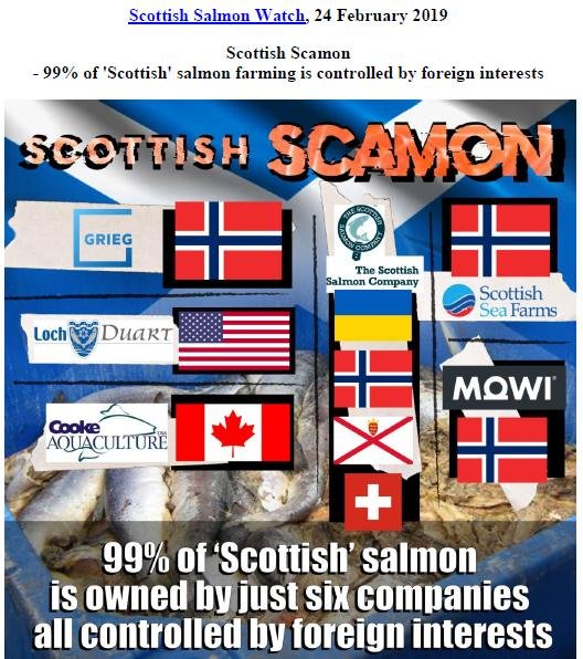 PR Scottish Scamon 24 February 2019 #1
