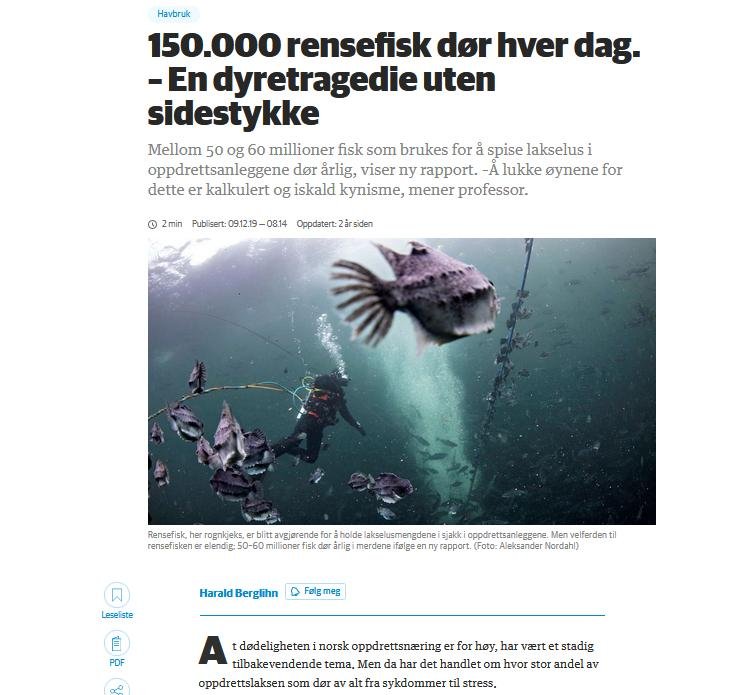 50 million Norway blog #25