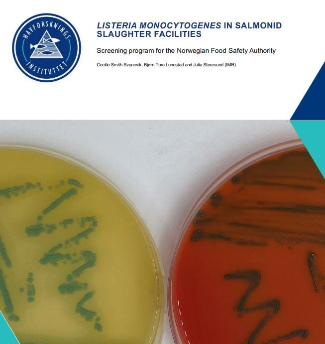 Belgium blog Feb 2022 #9