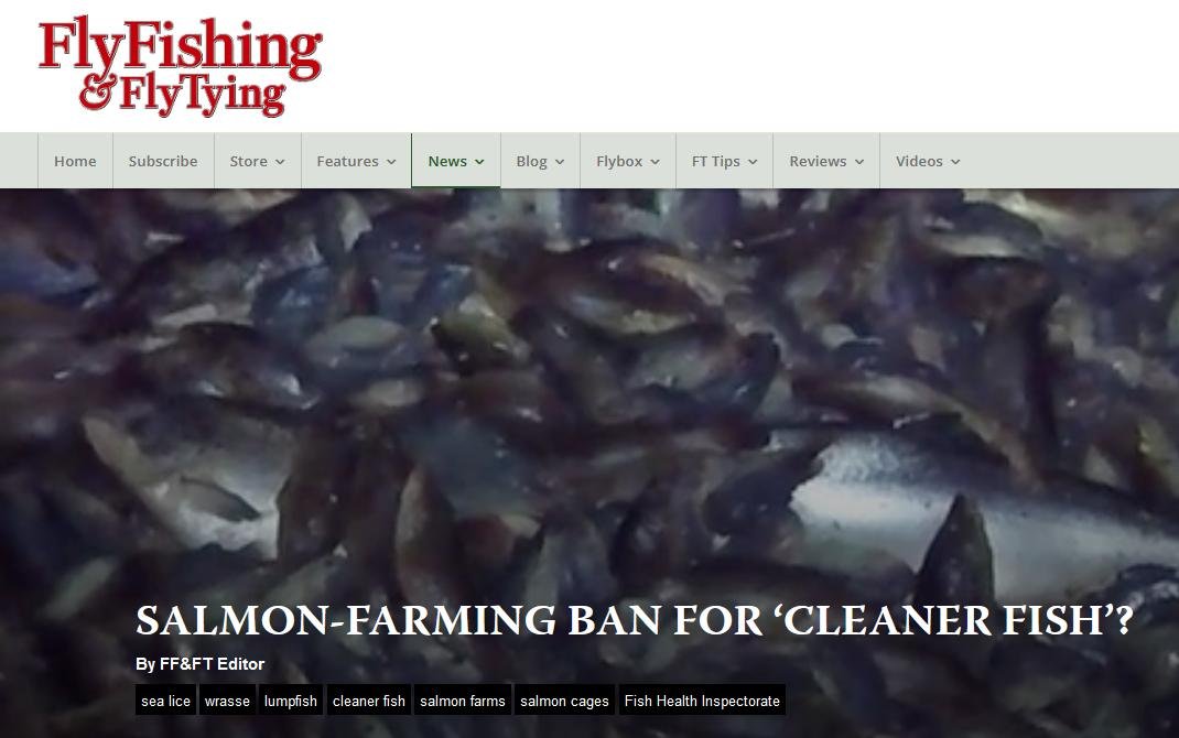 FFFT Feb 2022 #1 FFFT Feb 2022 #1