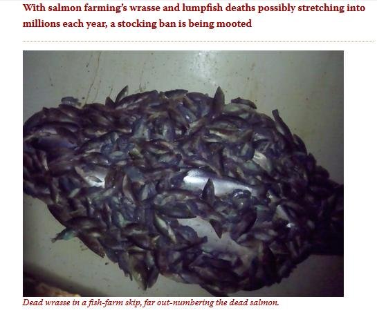 FFFT Feb 2022 #2 FFFT Feb 2022 #2