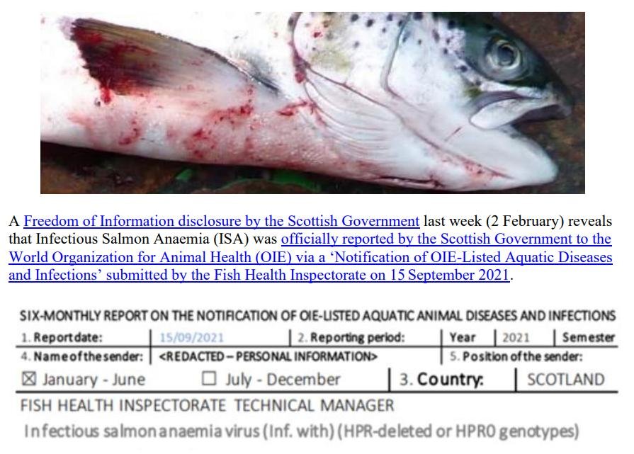 PR ISA in Scottish Salmon OIE Report 10 February 2022 #2