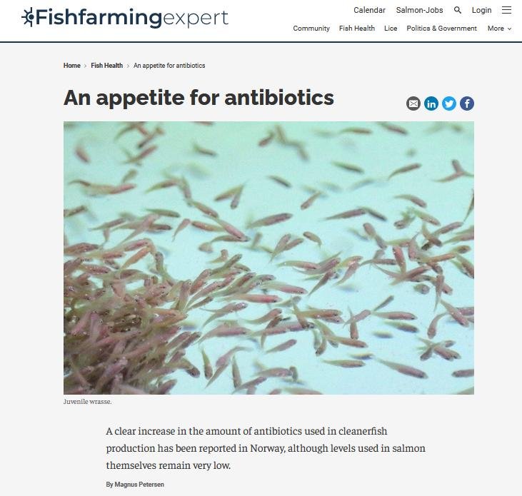 Ant blog Feb 2022 #1 Ant blog Feb 2022 #1