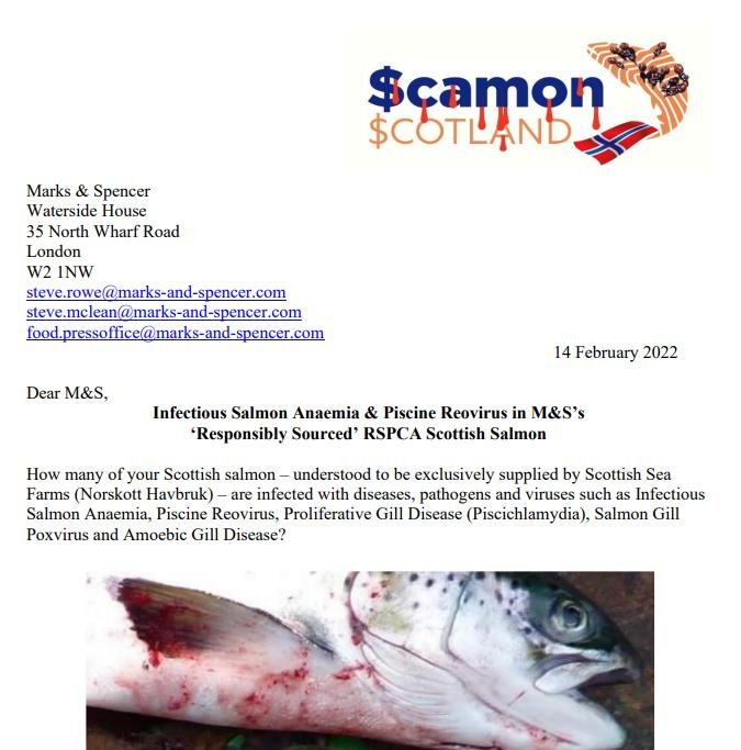 M&S Letter re ISA & PRV in Scottish Salmon 14 February 2022 #1