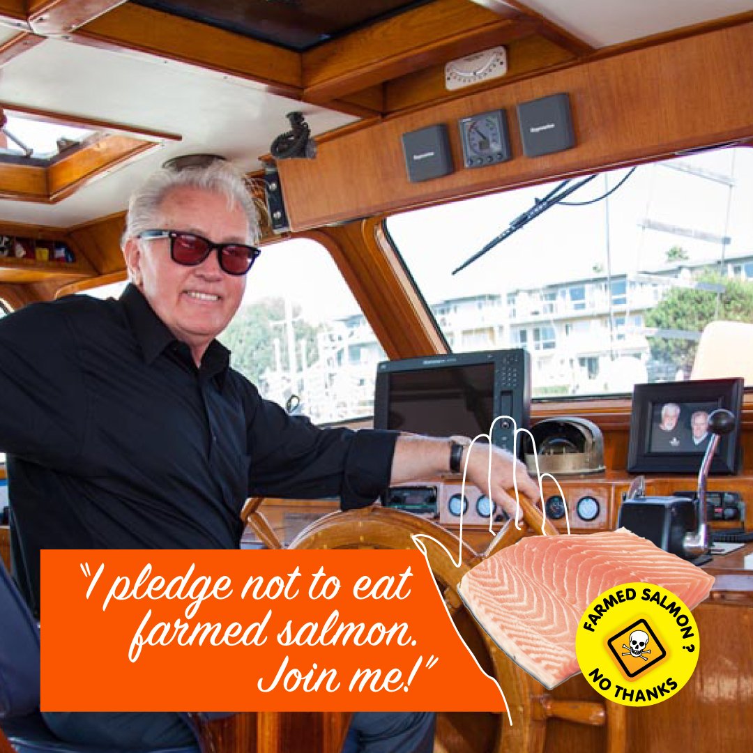 Pledge #18 Martin Sheen Pledge #18 Martin Sheen