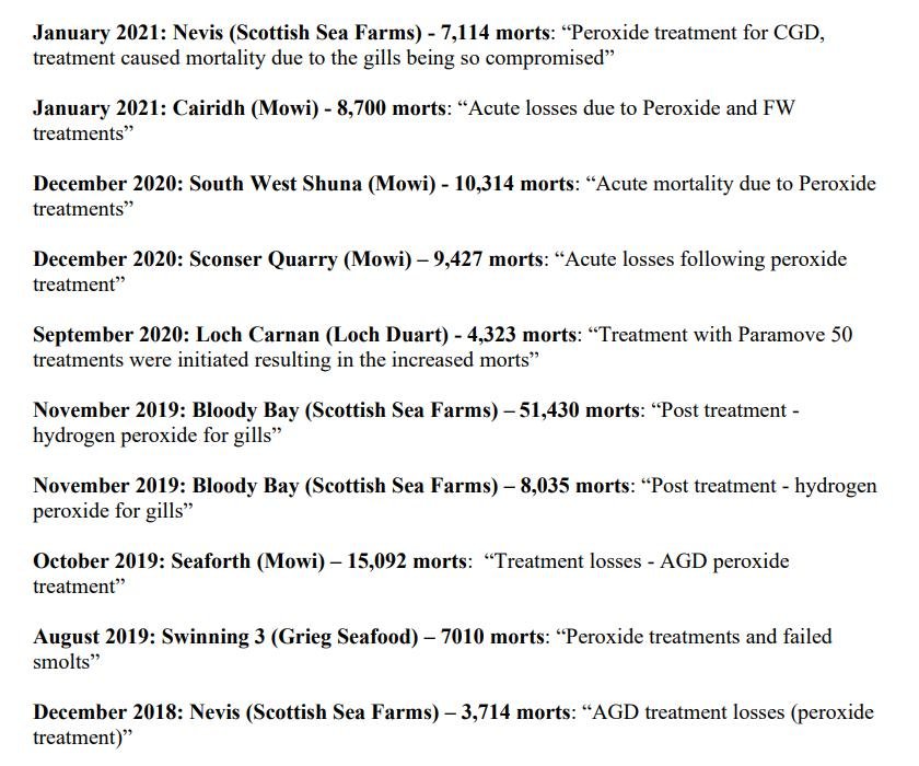 PR 15 March 2022 #17