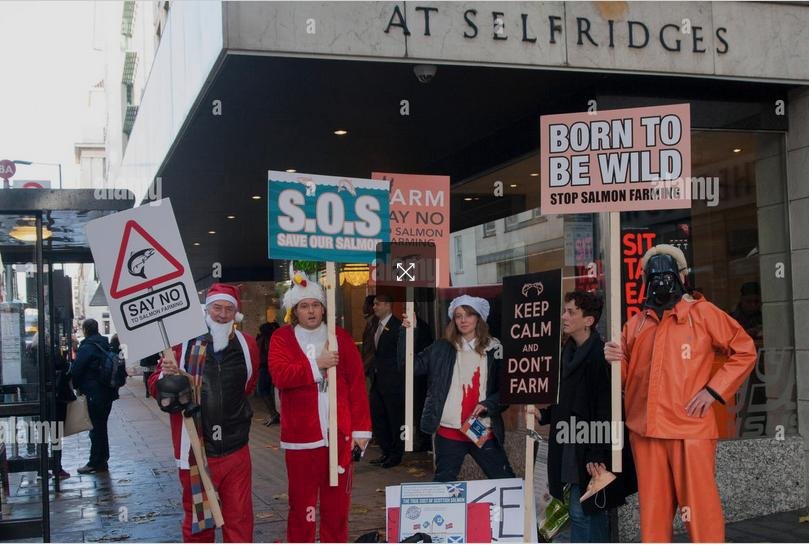 Santa protest #8