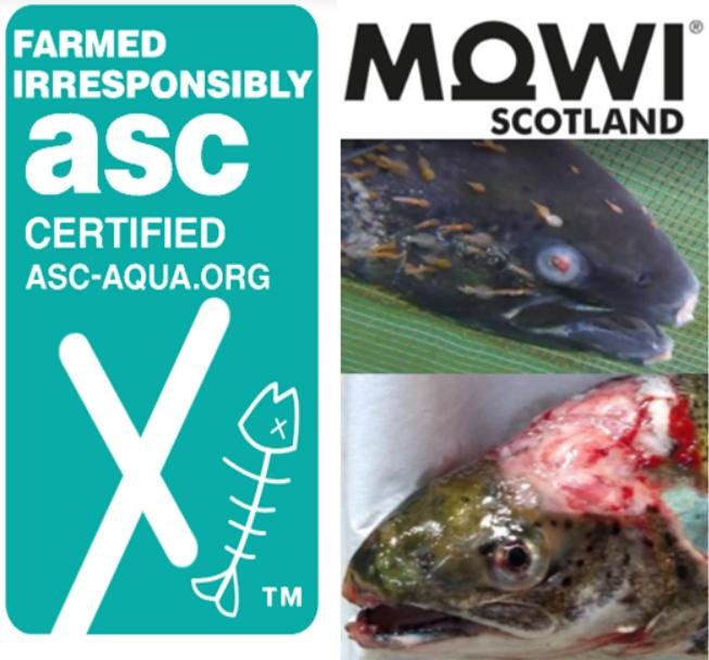 ASC Irresponsible Mowi ASC Irresponsible Mowi