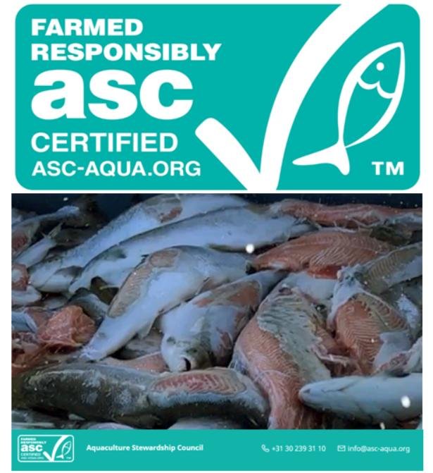 ASC certified Mowi morts ASC certified Mowi morts