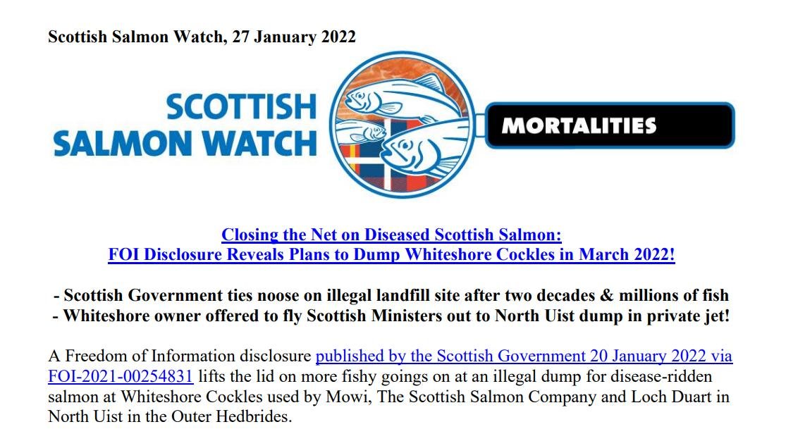 Whiteshore Cockles FOI disclosure December 2021 PR Jan 2022 #1