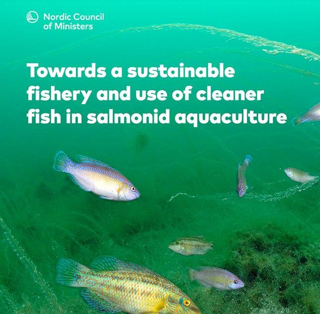 Nordic Ministers Dec 2021 #1