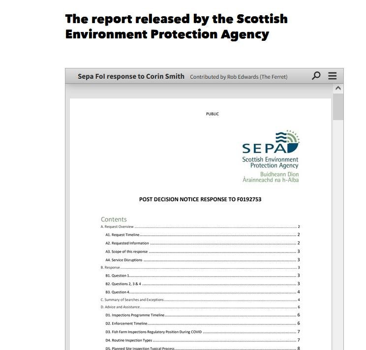 Ferret 6 Feb 2022 #5