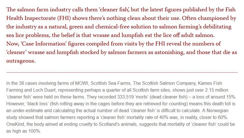 FFFT Feb 2022 #3 FFFT Feb 2022 #3