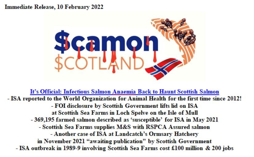 PR ISA in Scottish Salmon OIE Report 10 February 2022 #1