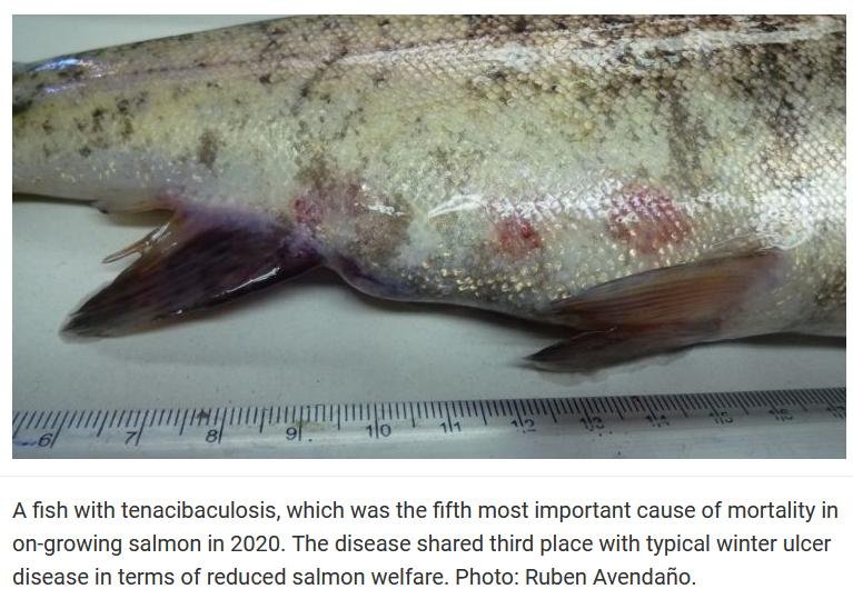 APHA FOI March 2022 blog #9