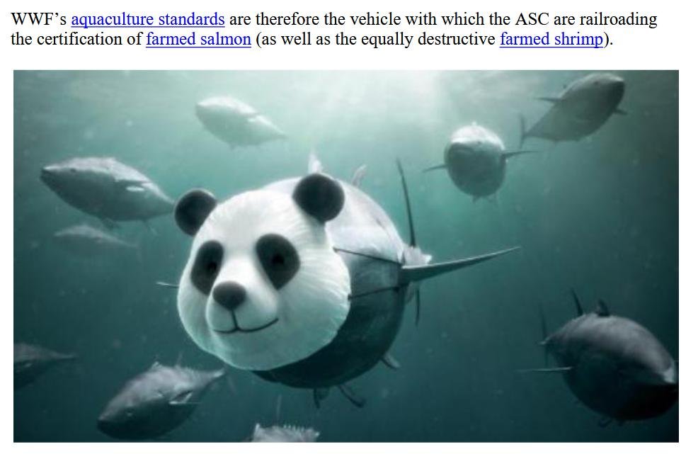 ASC blog May 2022 #7 ASC blog May 2022 #7