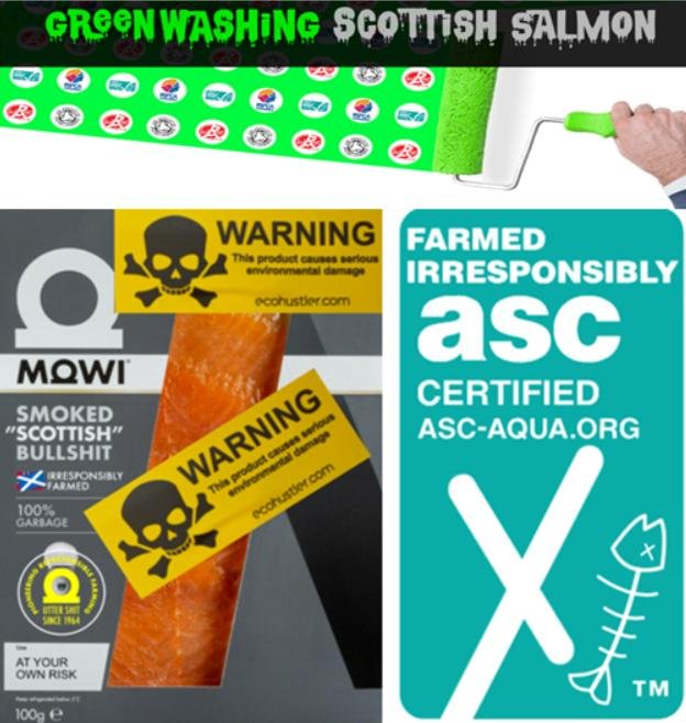 Greenwashing Mowi & ASC Greenwashing Mowi & ASC