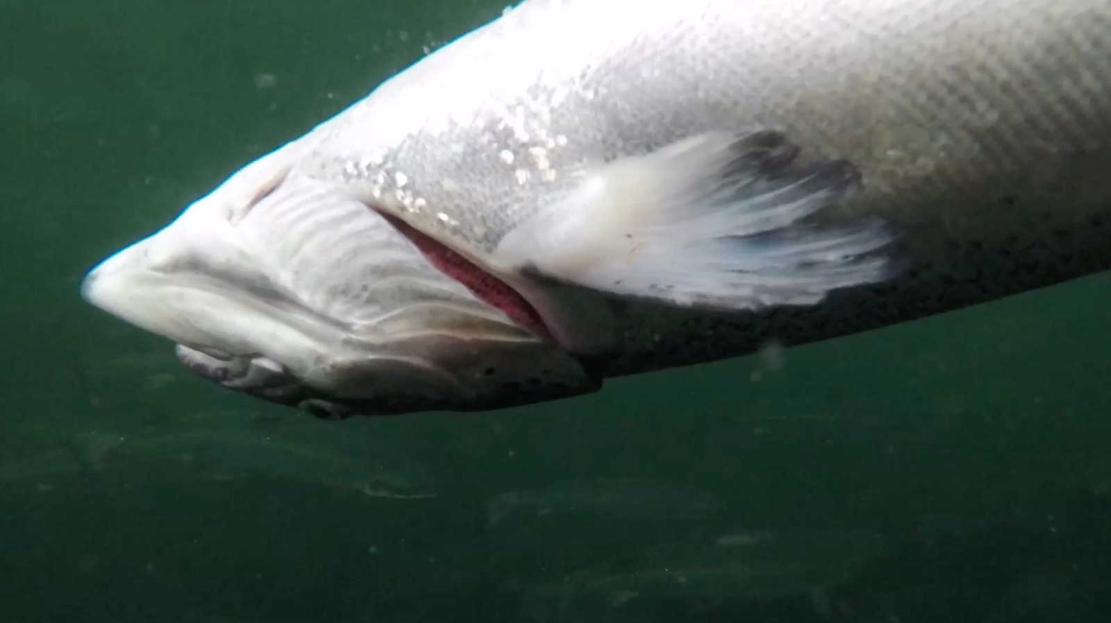 Screenshot 2022-07-10 at 22.18.02 Screenshot 2022-07-10 at 22.18.02