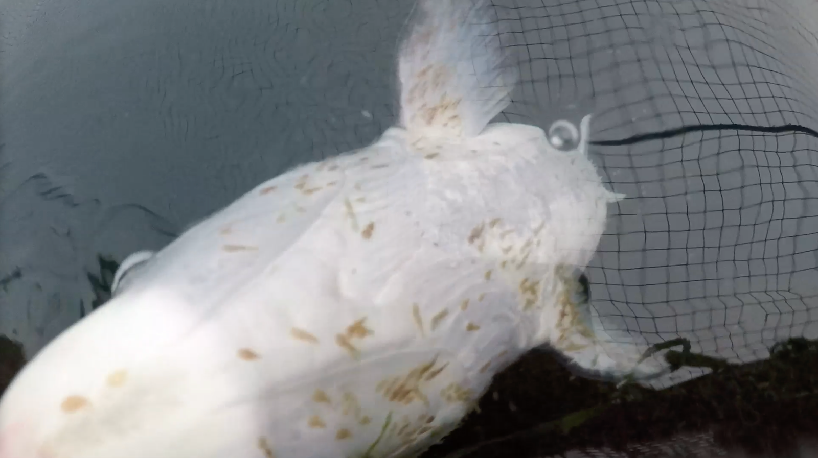 Screenshot 2022-07-11 at 00.34.25 Screenshot 2022-07-11 at 00.34.25