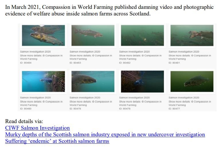 Media Backgrounder RSPCA Assured Scottish Salmon Exposed July 2022 #3