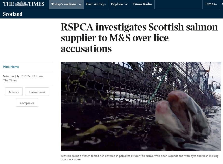 Times 16 July 2022 #1 Times 16 July 2022 #1