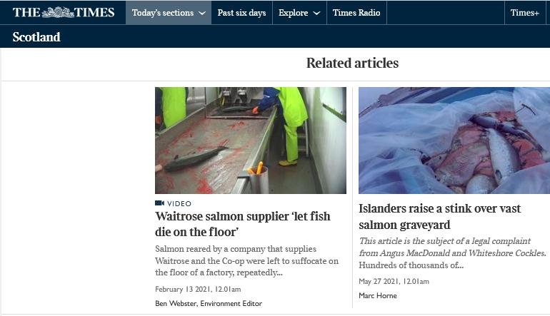 Times 16 July 2022 #4 Times 16 July 2022 #4