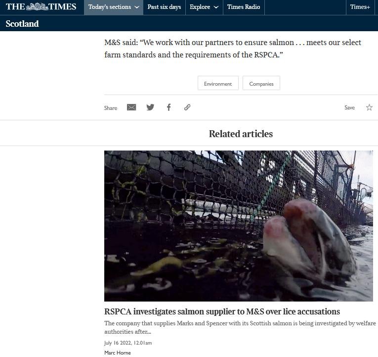 Times 20 July 2022 #4